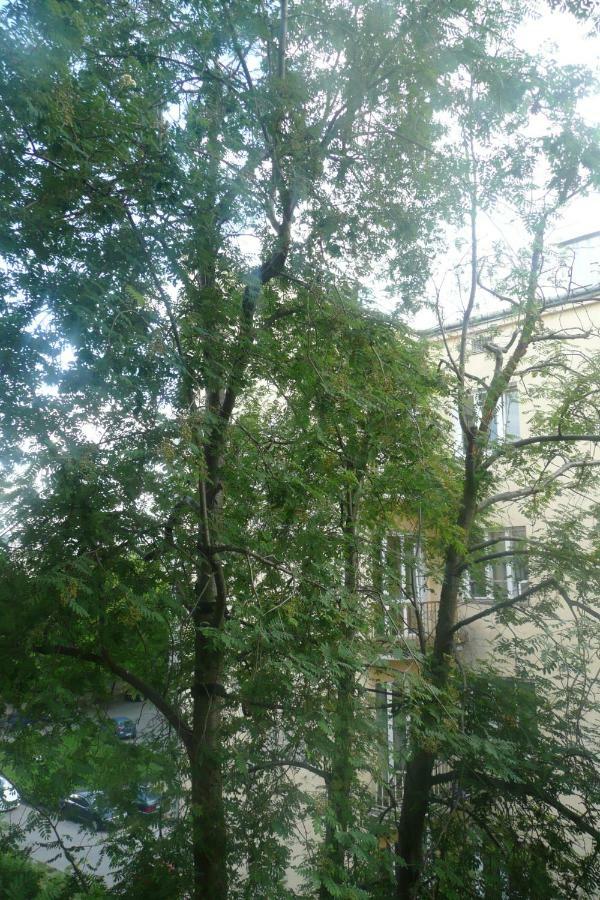 Sunny Wisla River Apartment Warschau Exterior foto